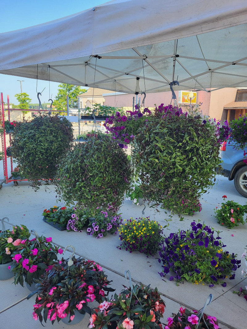 City of Grandville DDA - Farmers Market - 10