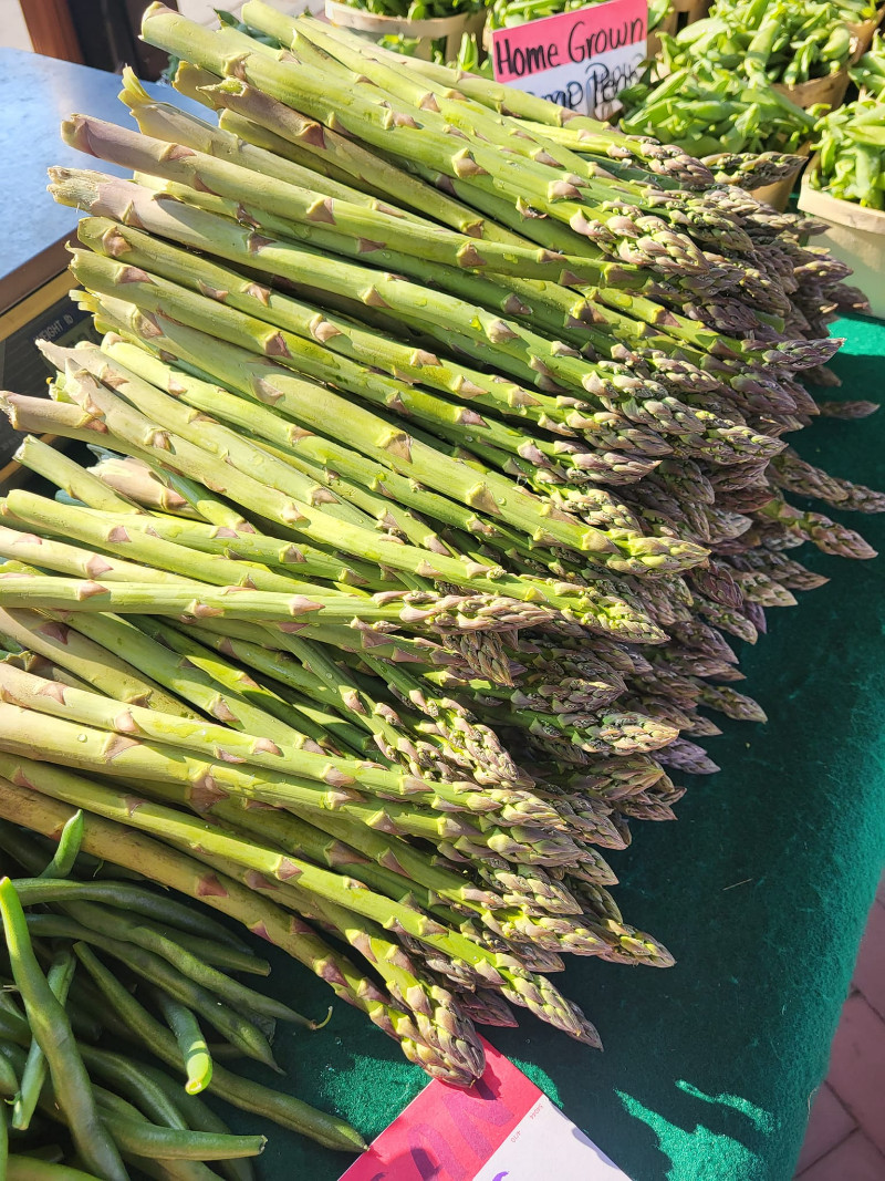 City of Grandville DDA - Farmers Market - 7